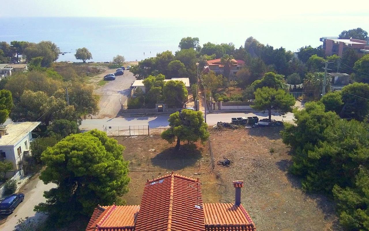 Augoustinos - Sea Side Luxury Apartments Artemi Extérieur photo